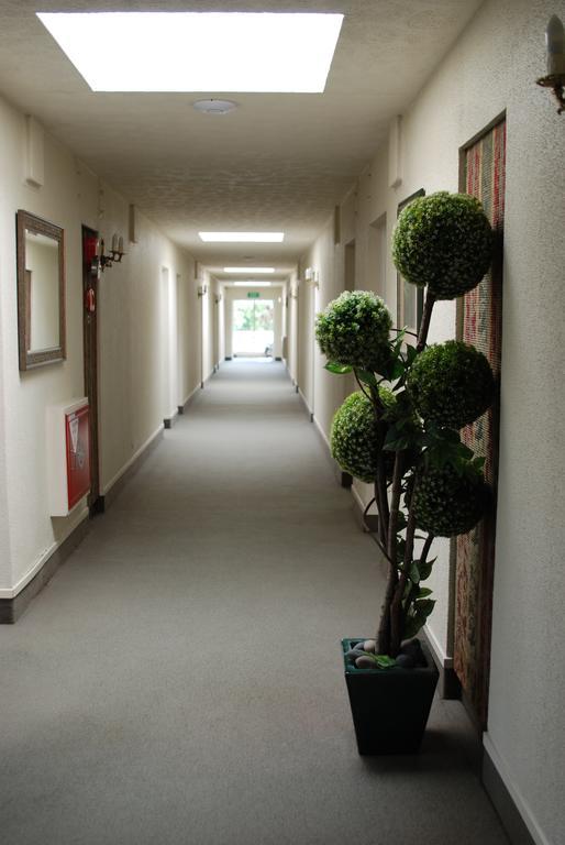 Fountain City Motor Inn Hamilton Zewnętrze zdjęcie
